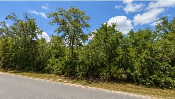 00 Country Road, EUSTIS, FL 32726