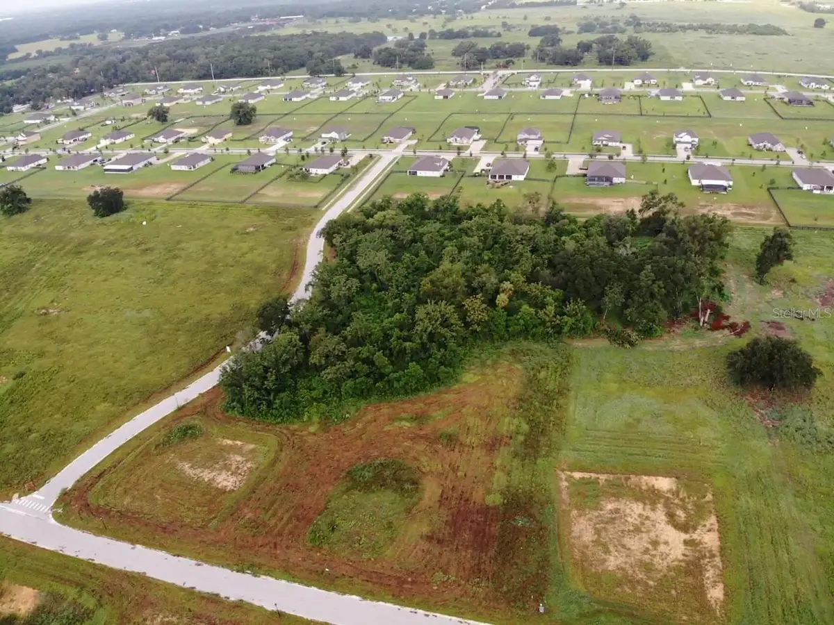 White Egret Drive, Thonotosassa, FL 33592 - #1