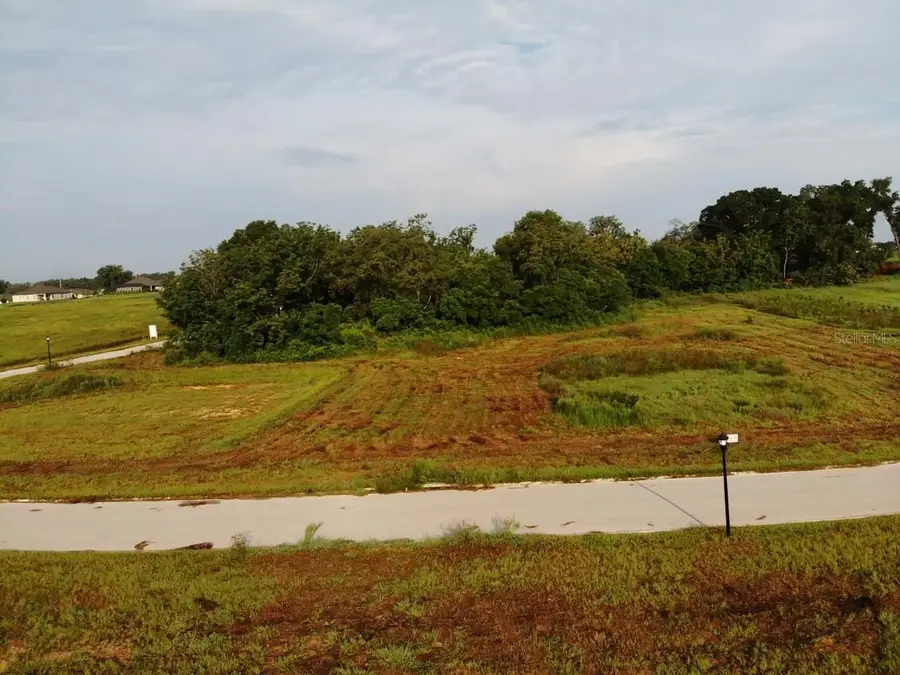 White Egret Drive, Thonotosassa, FL 33592 - #2