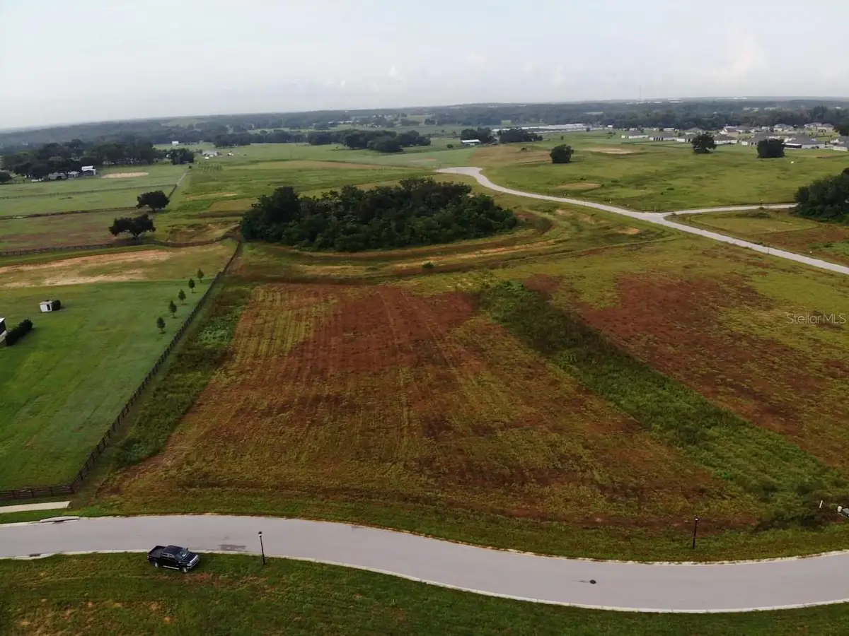 11625 Spoonbill Run Drive, Thonotosassa, FL 33592 - #1