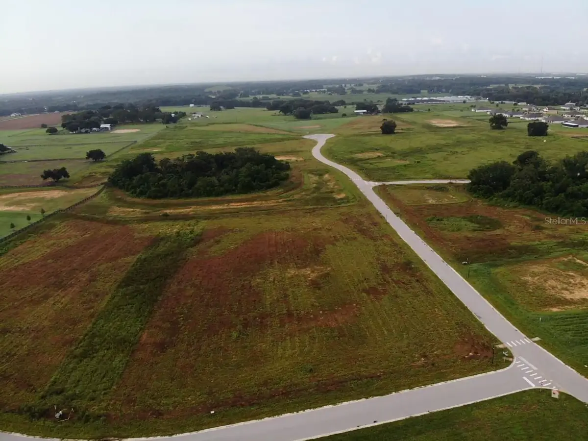 Spoonbill Run Drive, Thonotosassa, FL 33592 - #1