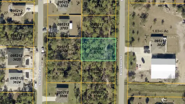 Blackman Street, NORTH PORT, FL 34291