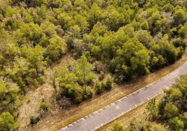 lot #41 Dandelion Drive, CHIPLEY, FL 32428