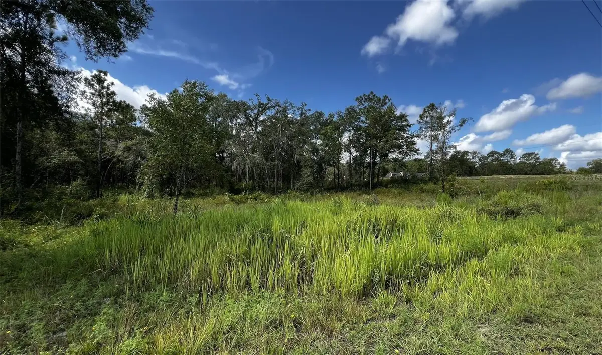 7398 Wagers Drive, Webster, FL 33597 - #1