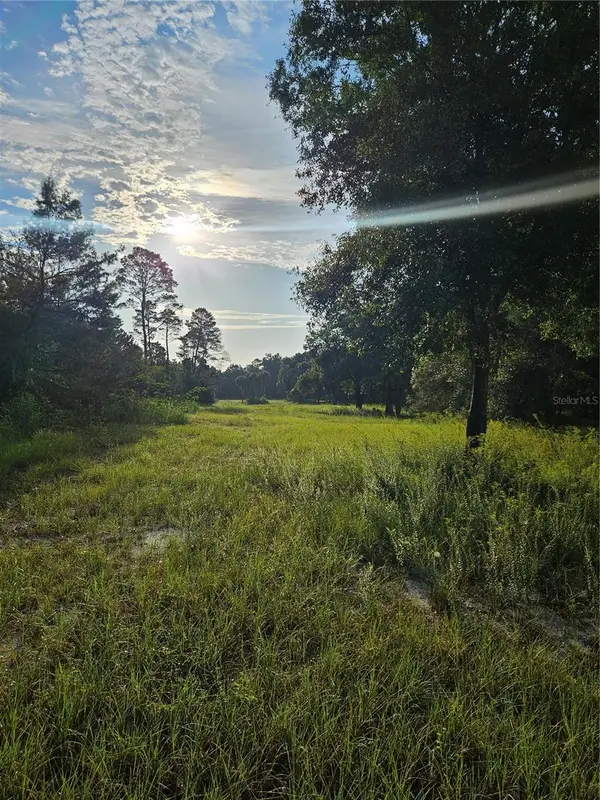 Snow Hill Rd Road, GENEVA, FL 32732