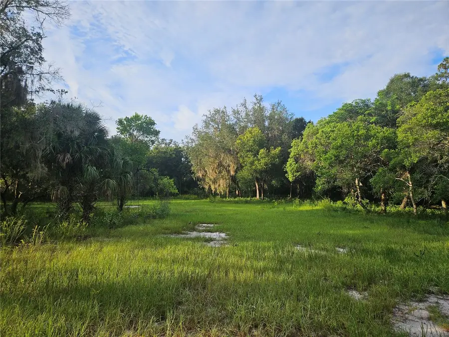 Snow Hill Rd Road, Geneva, FL 32732 - #2