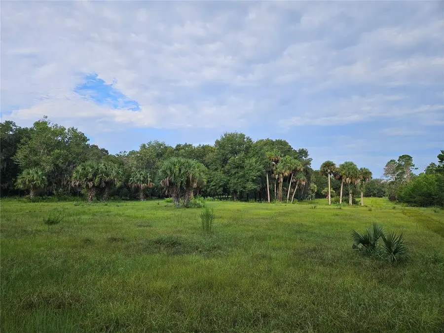 Snow Hill Rd Road, Geneva, FL 32732 - #3
