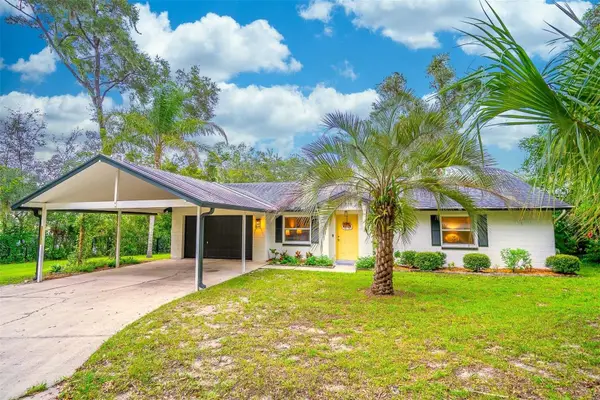 31050 Lochmore Circle, MOUNT PLYMOUTH, FL 32776
