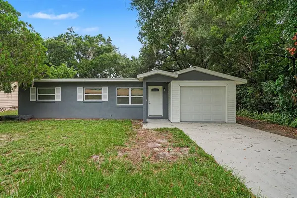 1339 E Jackson Avenue, MOUNT DORA, FL 32757