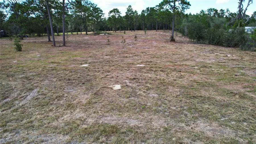 53rd Lane, Morriston, FL 32668 - #3