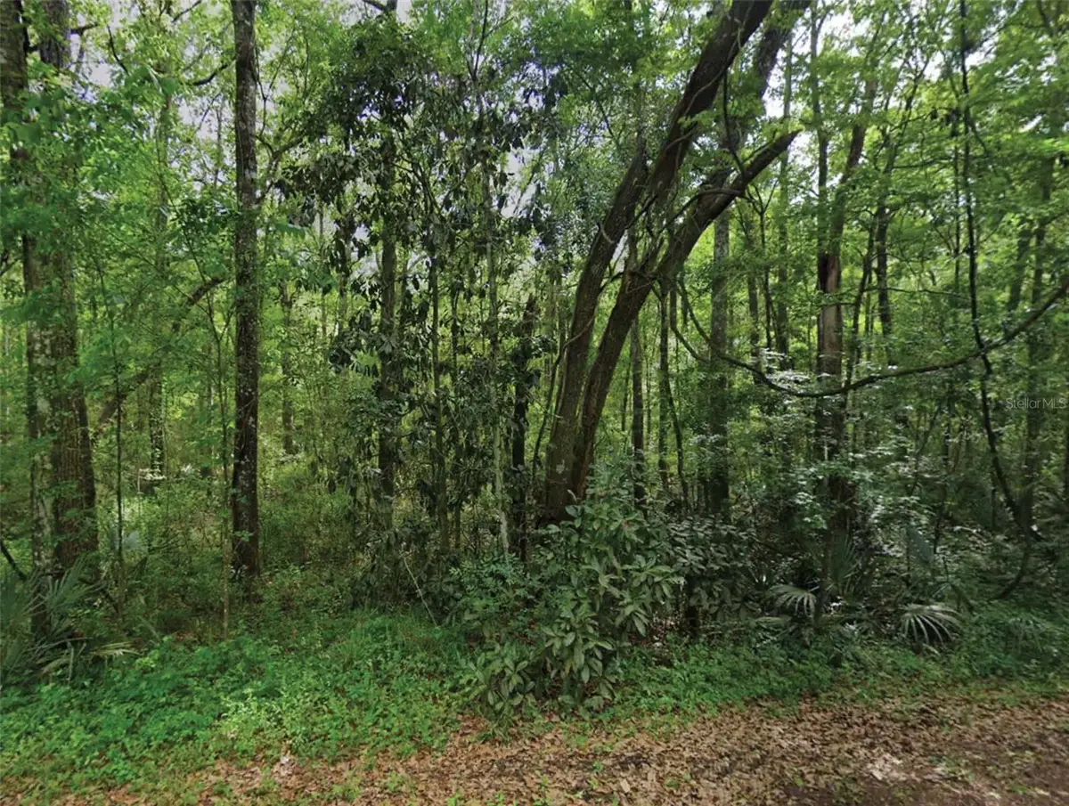 Scenic Drive, Middleburg, FL 32068 - #1
