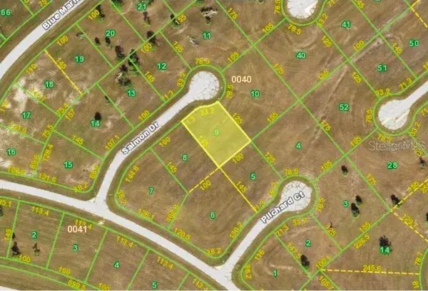 13032 Salmon Drive, PLACIDA, FL 33946