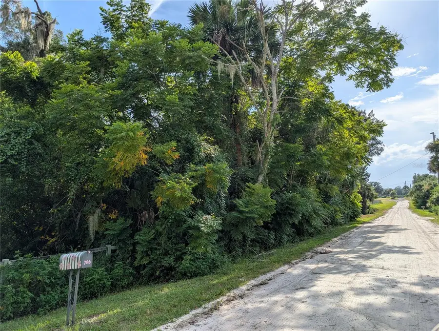 700 Grant Avenue, Deland, FL 32724 - #3