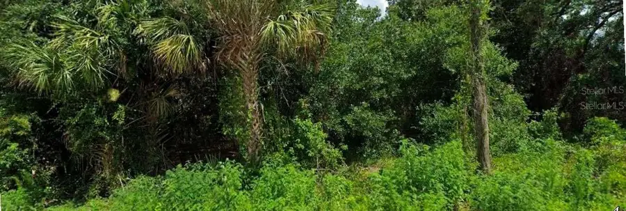 Jinright Road, North Port, FL 34288 - #2