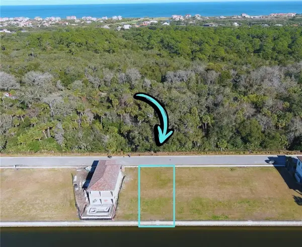 234 Harbor Village Point N, PALM COAST, FL 32137