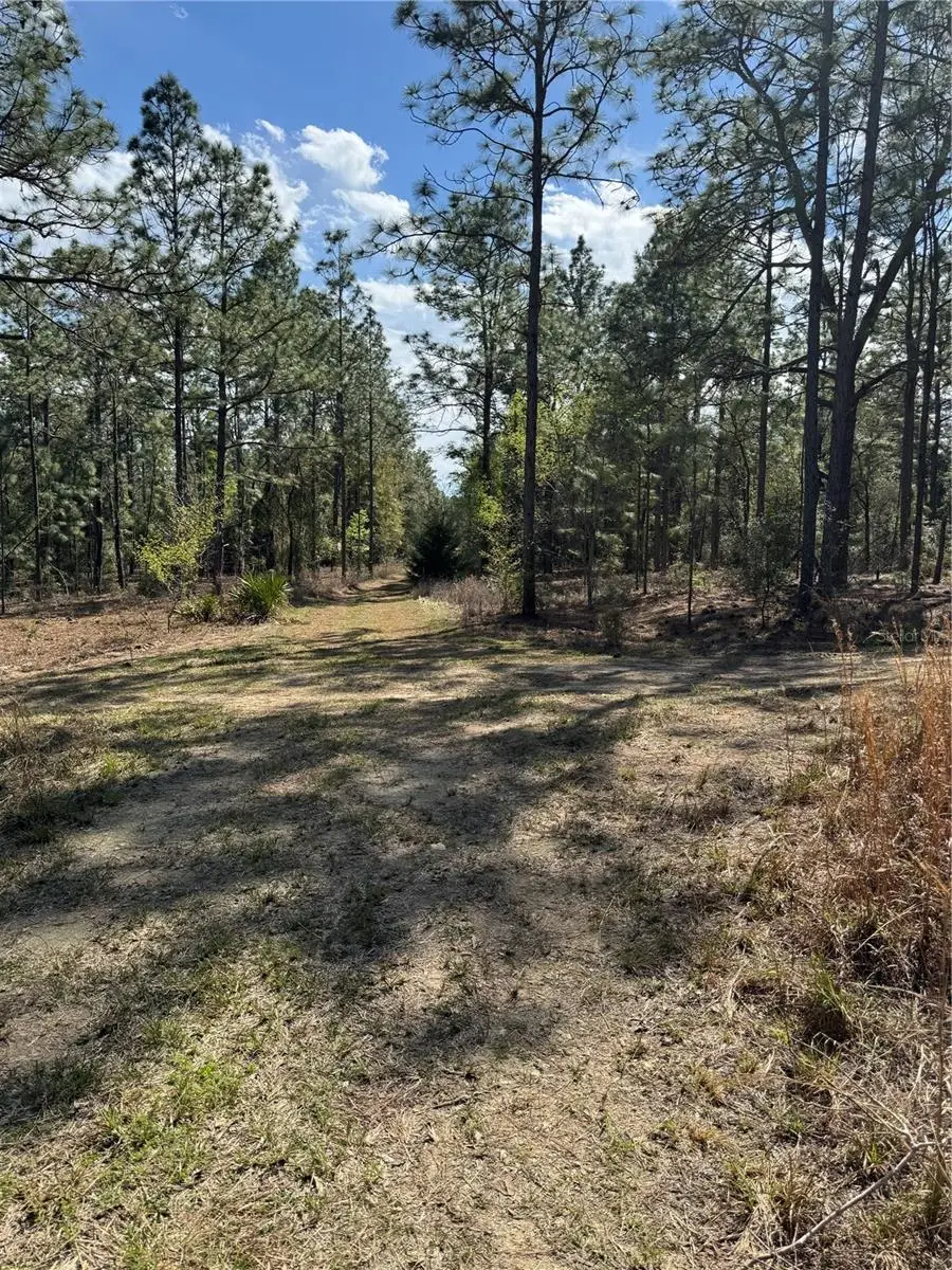 Sw 156th Court, Ocala, FL 34481 - #2