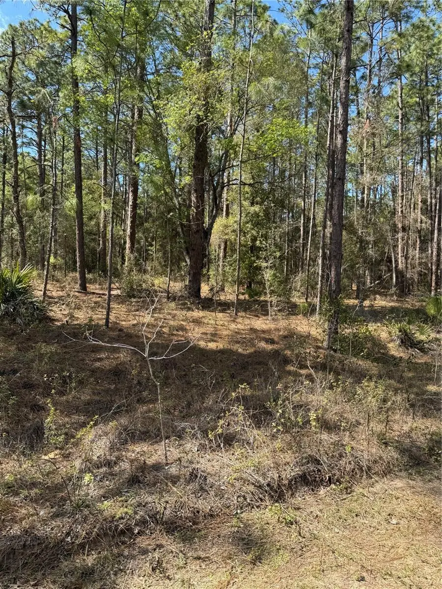 Sw 156th Court, Ocala, FL 34481 - #3