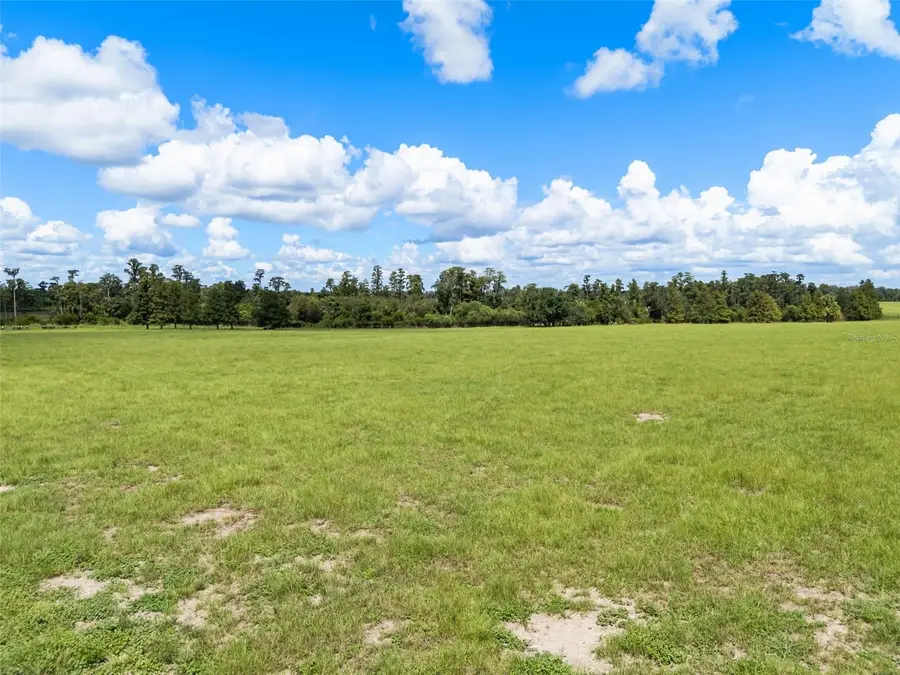 Laws Road, Clermont, FL 34711 - #3