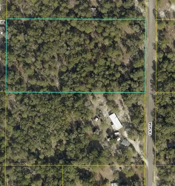 4.80 Acre Cr 543a, SUMTERVILLE, FL 33585