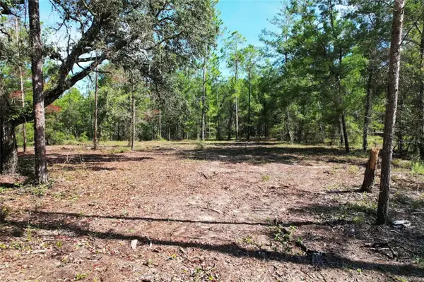 SE 6th Lane, WILLISTON, FL 32696