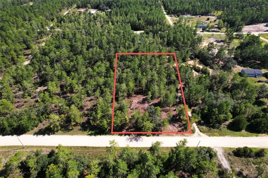 SE 6th Lane, Williston, FL 32696 - #2