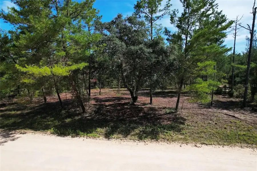 SE 6th Lane, Williston, FL 32696 - #3