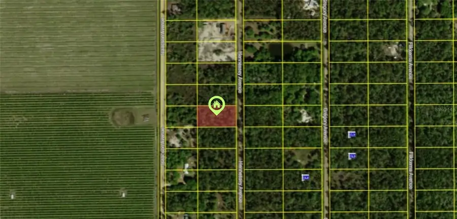 10515 Hennessey Avenue, Hastings, FL 32145 - #2