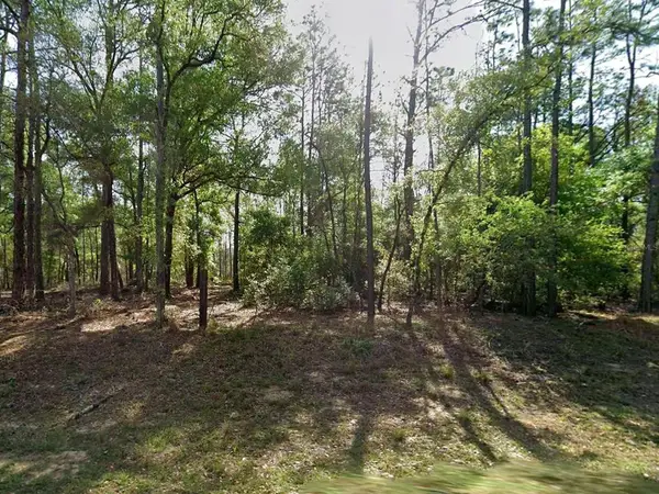 8319 N Yellowbird Avenue, CITRUS SPRINGS, FL 34434