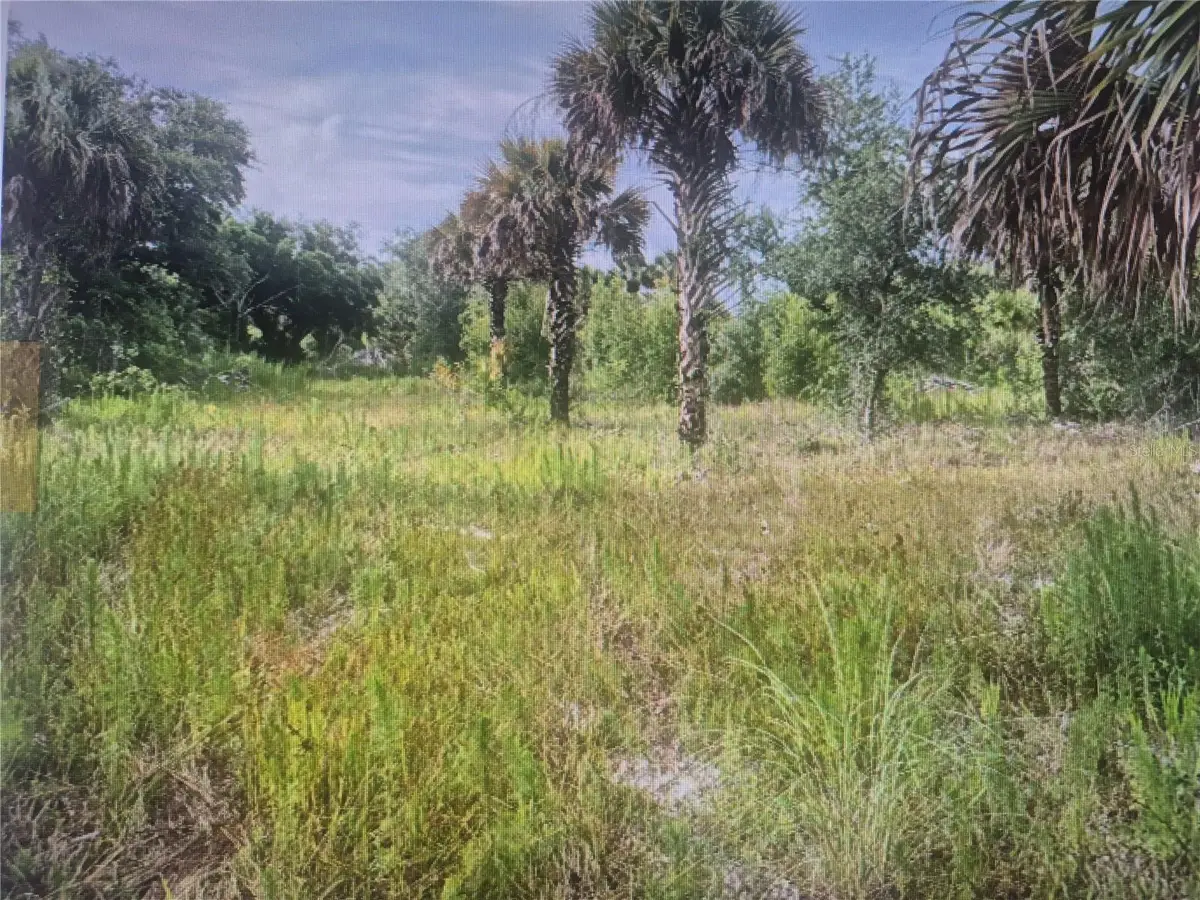 16793 NW 284th Street, Okeechobee, FL 34972 - #1