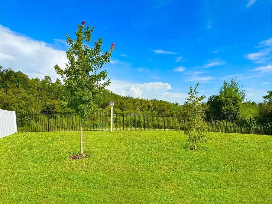 5718 Spivey Court, Wesley Chapel, FL 33545 - #2