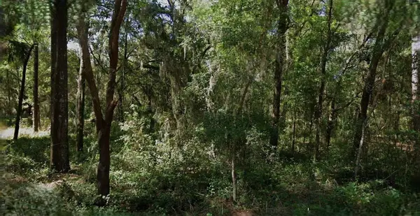 8430 W Rainbow Oaks Court, CRYSTAL RIVER, FL 34428