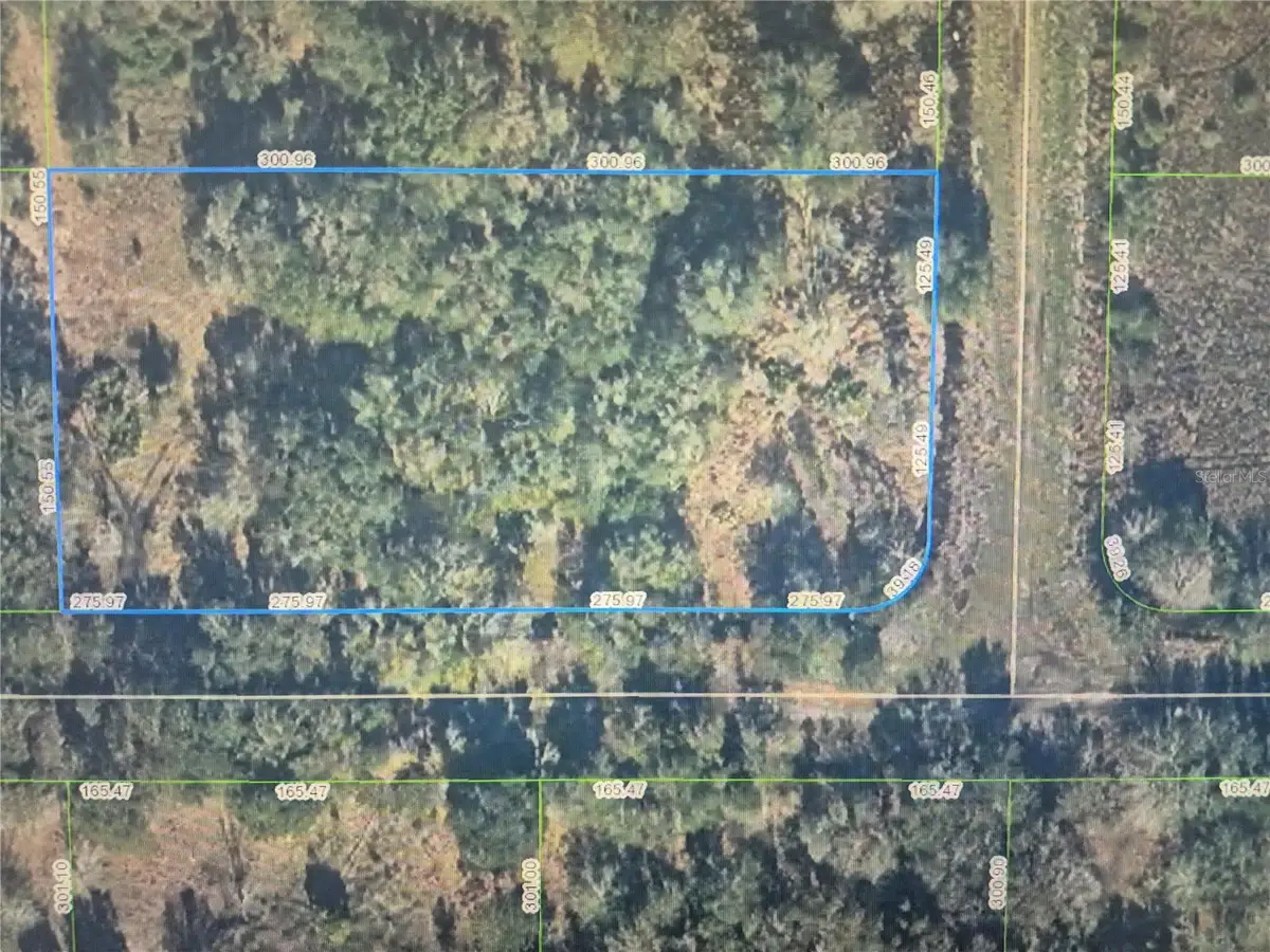 3300 W Tannen Road, Avon Park, FL 33825 - #1