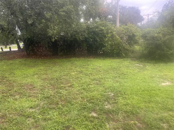 33855 Mandrake Road, WESLEY CHAPEL, FL 33543