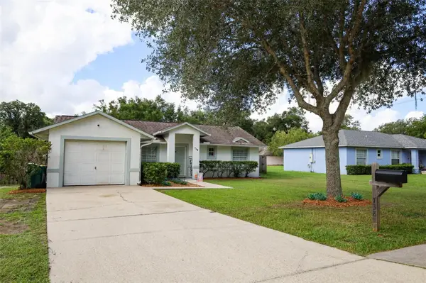 738 E 11th Avenue, MOUNT DORA, FL 32757