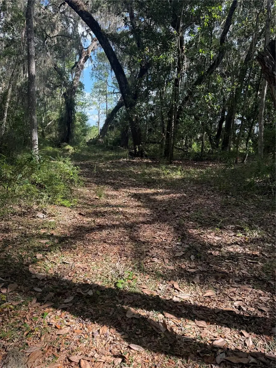5612 E Highway 316, Citra, FL 32113 - #1
