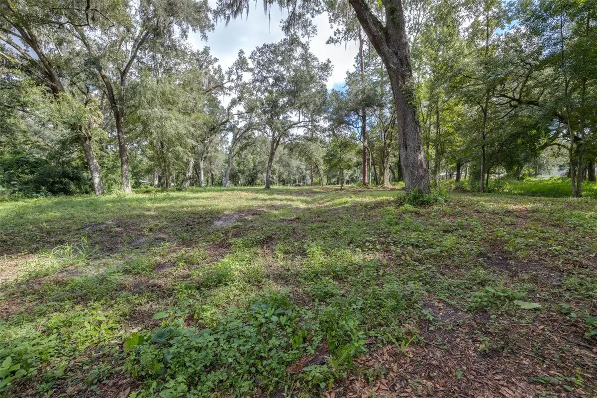 0 SE 124th Avenue, Webster, FL 33597 - #1