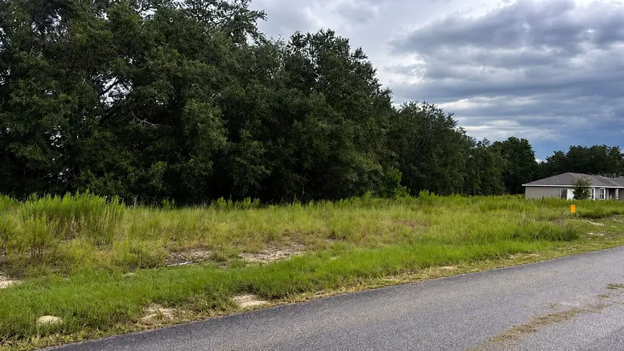 7748 N Manville Road, Citrus Springs, FL 34434 - #3