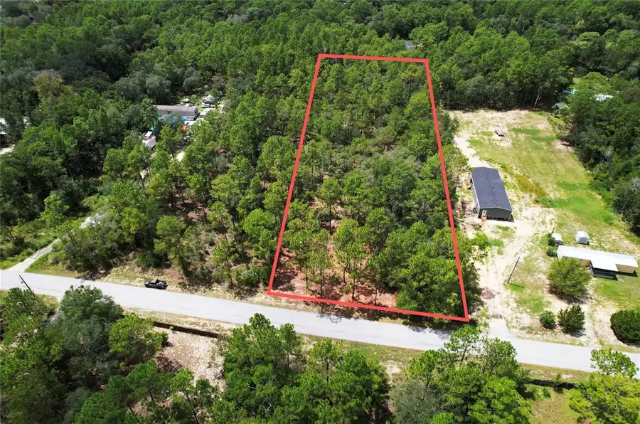 SW 183rd Terrace, Dunnellon, FL 34432 - #2