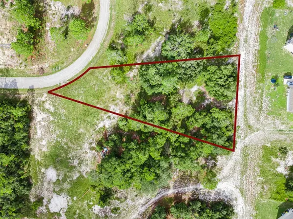 1319 Homosassa Court, POINCIANA, FL 34759