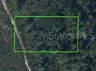 1528 Hackberry Avenue, AVON PARK, FL 33825