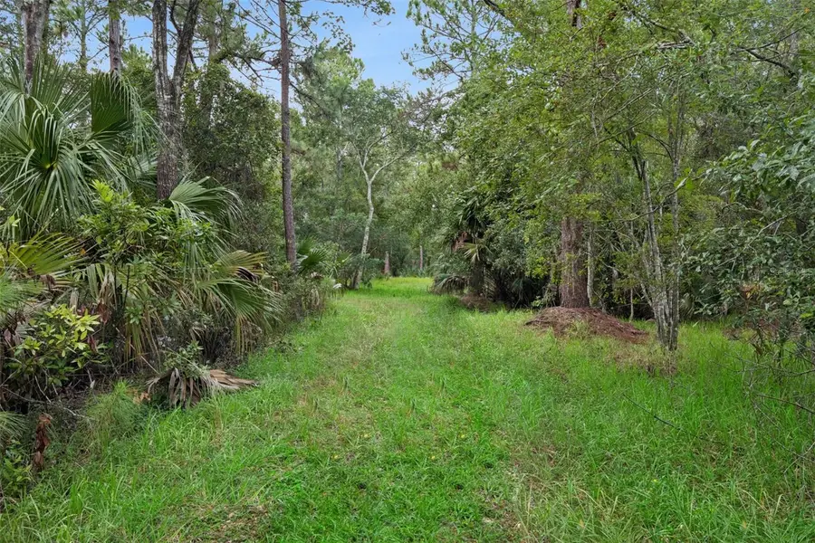 14133 Lund Drive, Orlando, FL 32826 - #3