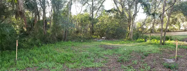 Address Withheld By Seller, APOPKA, FL 32703