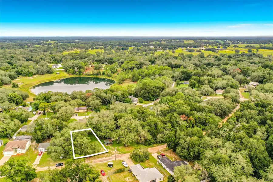 Palm Street, Lady Lake, FL 32159 - #2