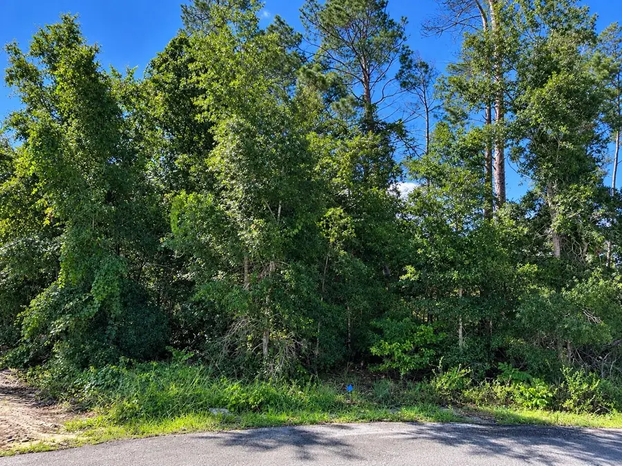 13410 Short Court, Spring Hill, FL 34609 - #2