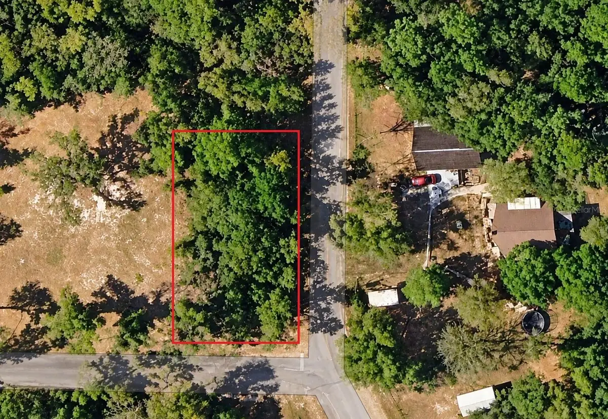Se 171st Ct, Ocklawaha, FL 32179 - #1