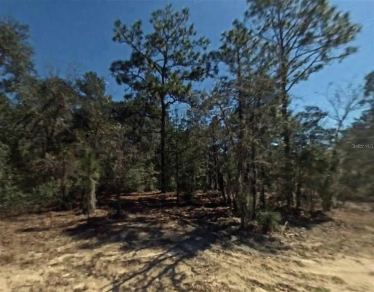 2809 Oakridge Street, Inverness, FL 34452 - #1