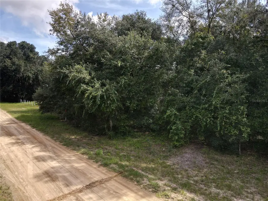 Gunner Ave Avenue, Interlachen, FL 32148 - #2