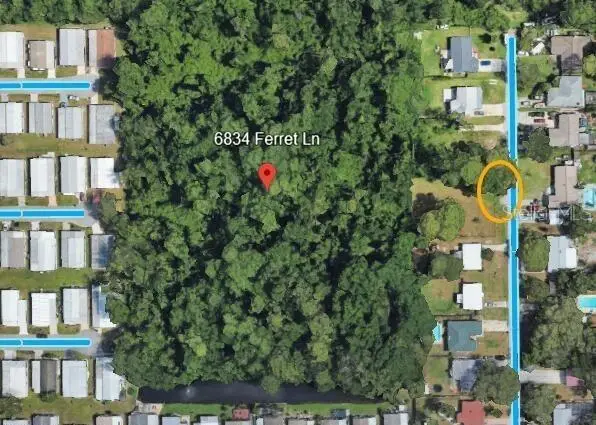 6834 Ferret Lane, New Port Richey, FL 34652 - #2