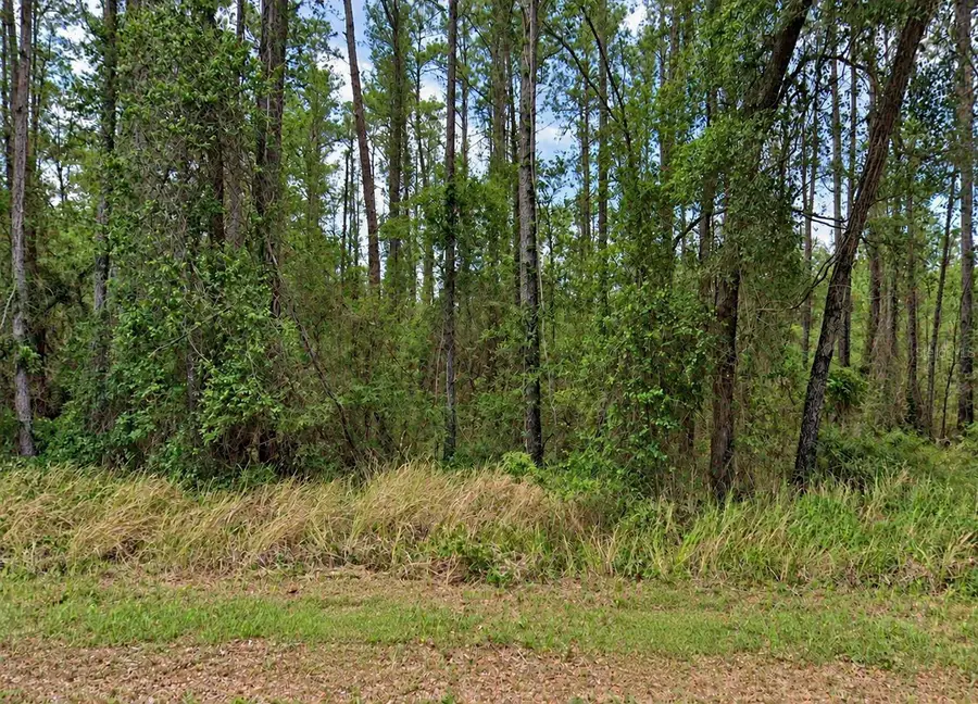 619 E Byrd Loop, Citrus Springs, FL 34434 - #2