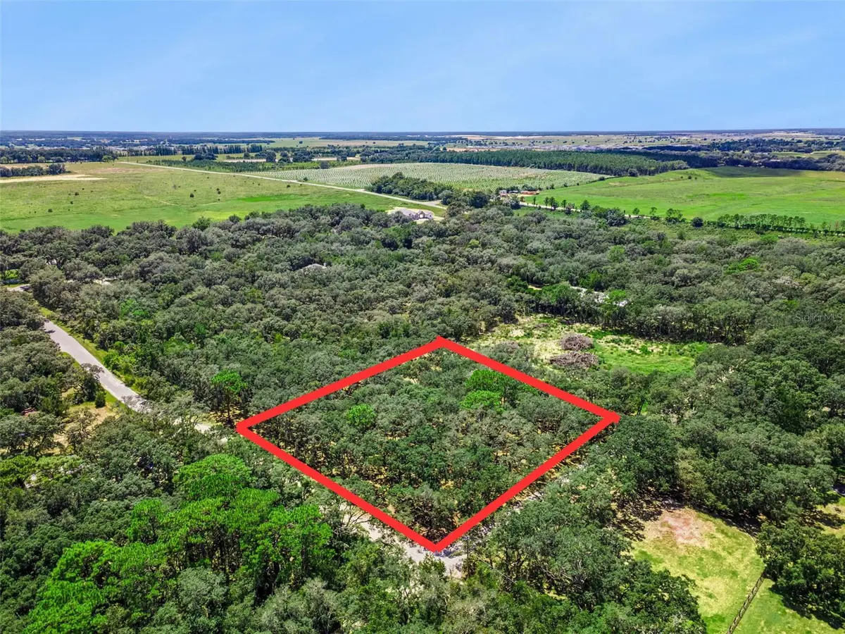 17206 Red Bird Road, Winter Garden, FL 34787 - #1